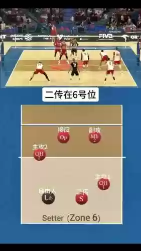 排球阵容搭配