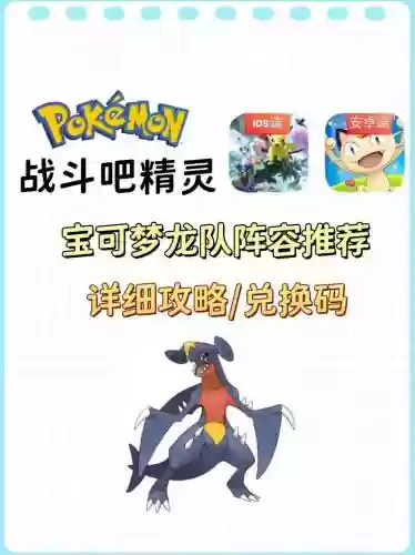 精灵宝可梦龙系阵容搭配