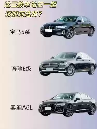 bba全阵容插图1