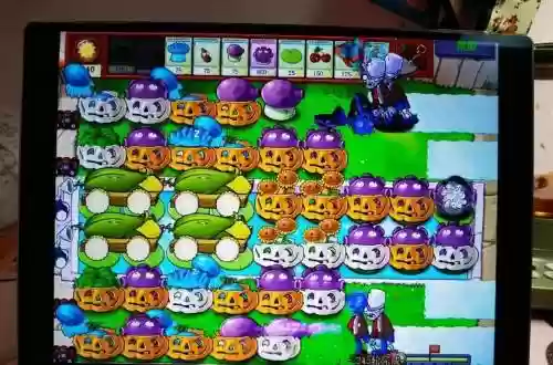 pvz水池阵容
