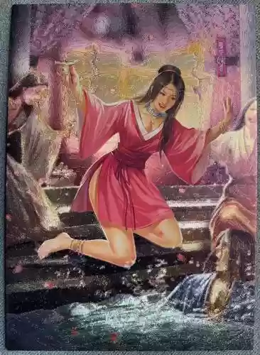 八阵容烈女插图