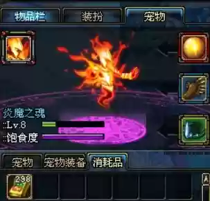 炎魔之魂宠物装备好