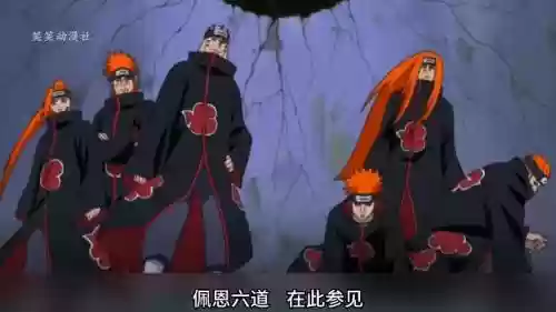 佩恩阵容搭配