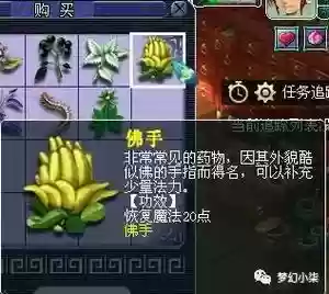 梦幻西游佛眷效果插图