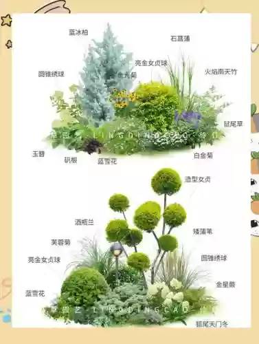 植物阵容搭配图表插图