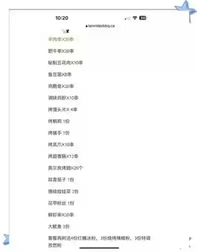 bbq游戏攻略