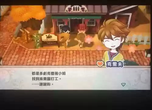 gba牧场物语魔女版攻略