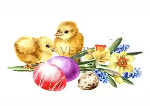 复活节小鸡逃离攻略