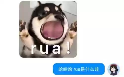 rua是什么技能_1