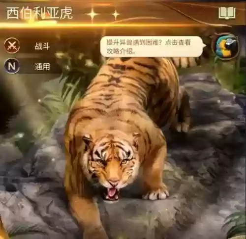 老虎单挑阵容搭配