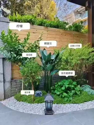 创意庭院超强植物阵容搭配_1