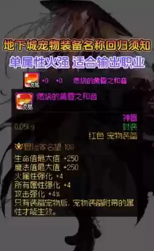 dnf2018宠物装备能买吗插图1