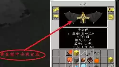 我的世界龙骑士龙的技能_1插图