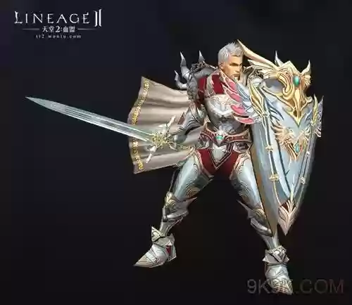 天堂2作装备的是什么职业插图