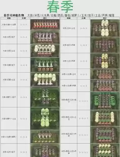 饥荒种植攻略