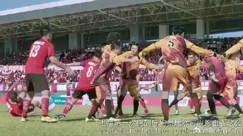 菊花队阵容搭配插图