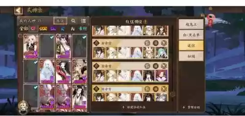 3000万阵容搭配