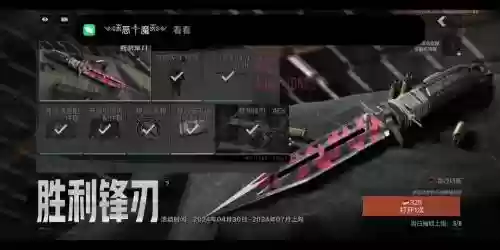 军团突袭奖励武器插图1