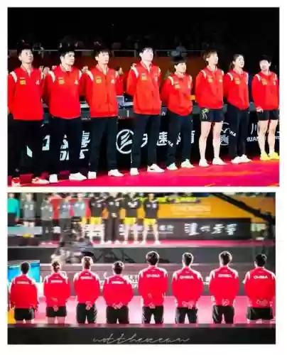 国乒阵容搭配插图