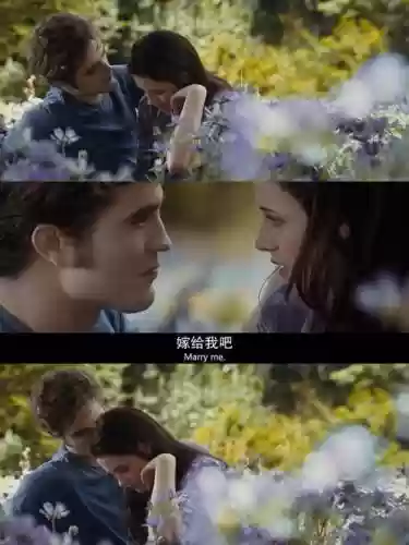 暮光之城3的演员阵容搭配