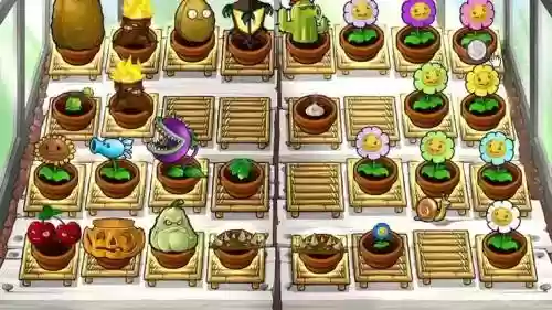 植物大战僵尸养花攻略