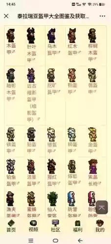 手机版泰拉瑞亚如何穿装备