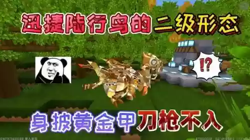 迷你时间陆行鸟二级技能_1