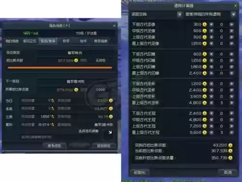 永恒之塔护法55级都有哪些技能插图