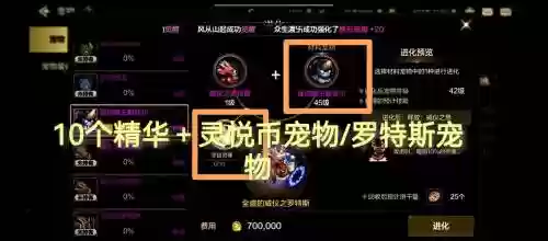 dnf2017宠物装备选什么_2插图