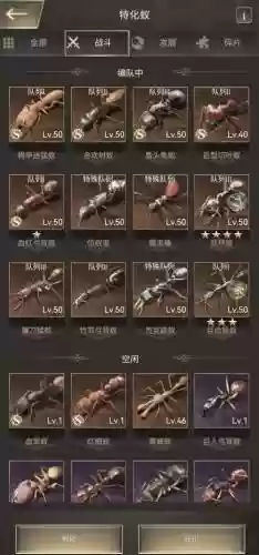 蚂蚁最强阵容搭配_1