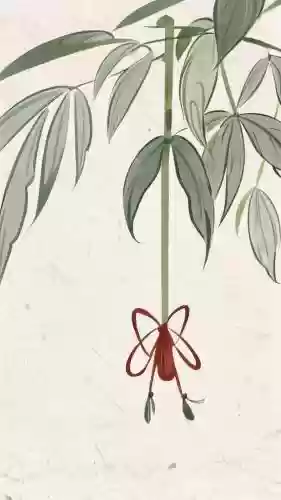 梦幻西游手机艾草2019_1