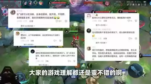 扁鹊队友阵容搭配_1