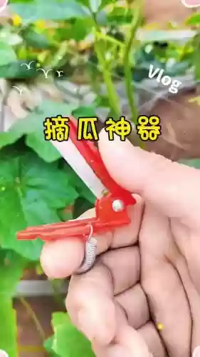 丝瓜适合什么武器，丝瓜适合什么武器用插图