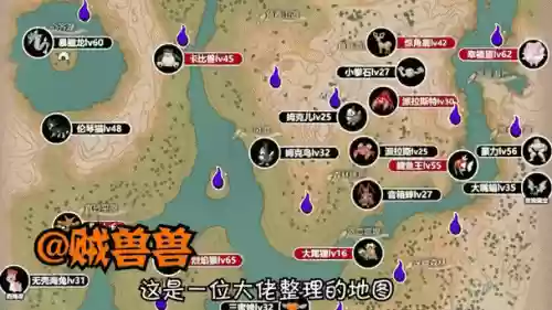 打新手宙斯攻略，宙斯打什么位置插图