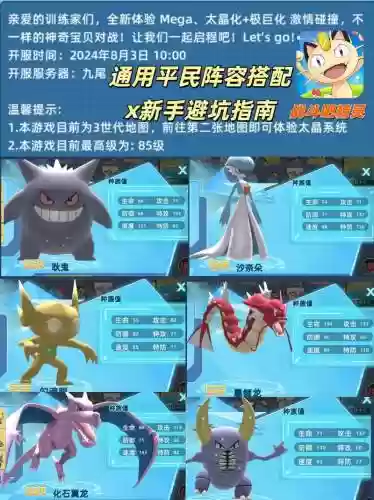 神奇宝贝前期推荐阵容搭配，神奇宝贝平民搭配插图