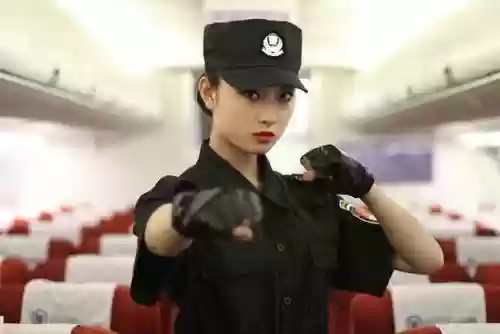 保镖能带什么武器，保镖能带什么武器上飞机插图