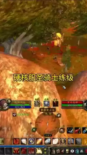 wow3.35圣骑士dps装备，魔兽世界335圣骑士伤害插图1