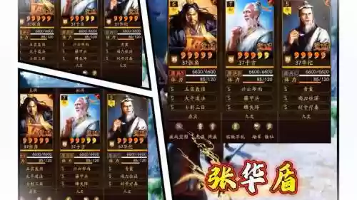 华佗阵容搭配，华佗阵容搭配攻略插图1