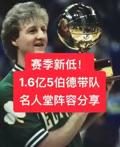 以伯德为核心怎么搭配阵容，伯德专属插图