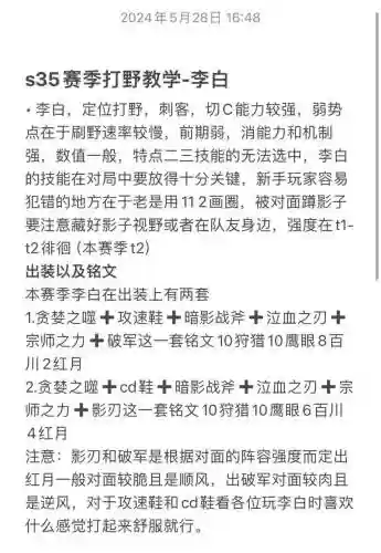 王者荣耀李白攻略应该怎么写，王者荣耀李白的攻略插图