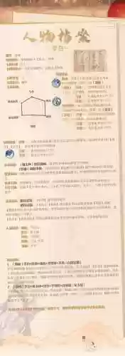 李白阵容搭配，李白阵容搭配攻略插图