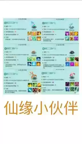 仙缘之城完美攻略，仙缘之城完美攻略图文插图1
