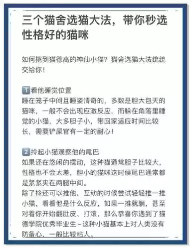 猫改技能选择，猫咪技能加成插图