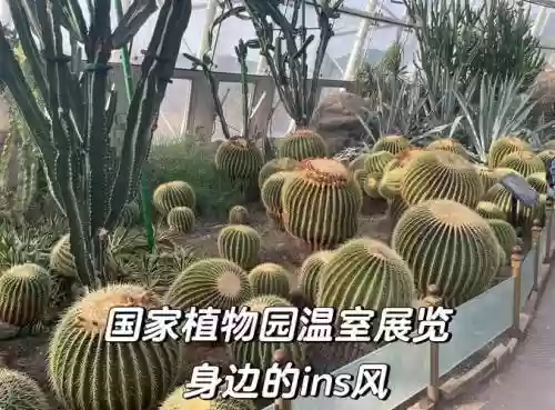 掠食植物园攻略，掠食植物园温室怎么进插图
