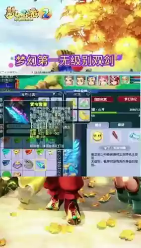 梦幻武器双加值钱吗，梦幻武器双加属性上限插图