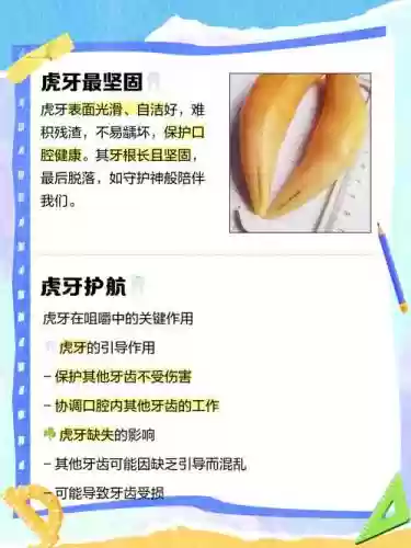 虎牙守护技能，虎牙守护技能怎么用插图