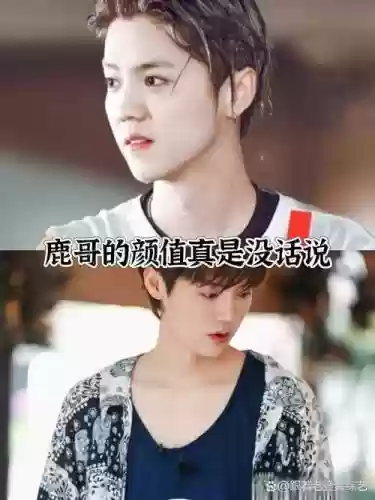 综艺之王鹿晗攻略，鹿晗综艺节目插图1