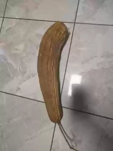丝瓜适合什么武器，丝瓜适合什么武器用插图1