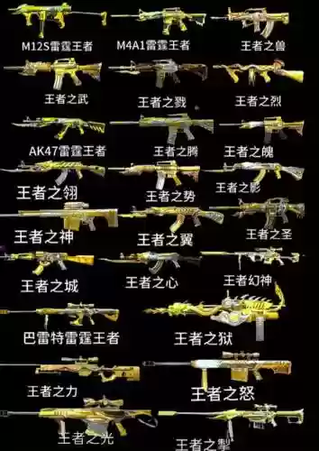 穿越火线枪战王者性价比高的武器，穿越火线枪战王者最强武器是什么插图