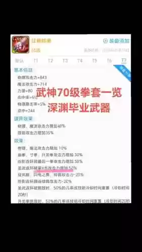 拳刹70版本装备，拳刹术印选择哪套插图
